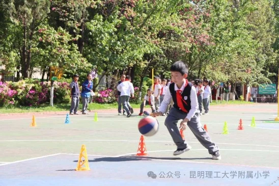 业余篮球爱好者如何借助智能反馈提高比赛表现_2